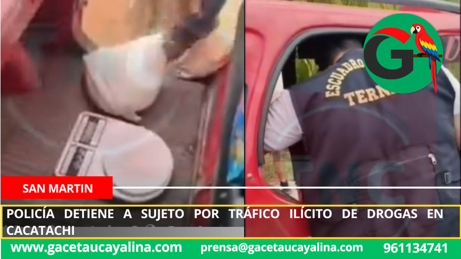 Operativo del Grupo Terna permite incautar PBC y detener a presunto implicado en TID