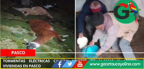 Tormentas eléctricas causan muerte de llamas y afectan viviendas en Pasco