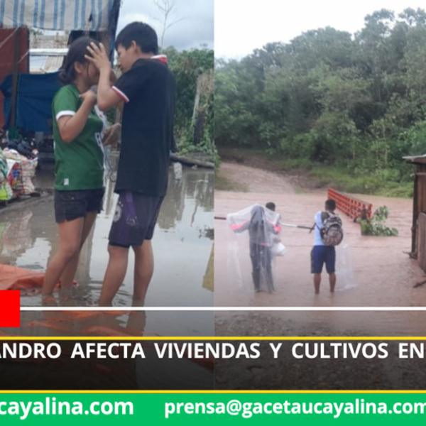 Foto: Redes Sociales