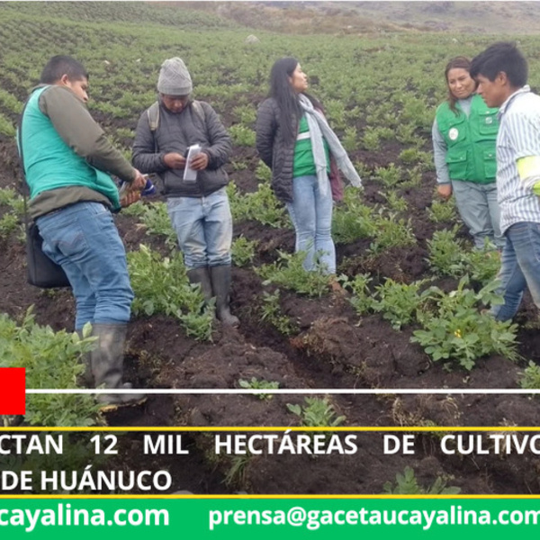 Foto: Tu Diario Huánuco