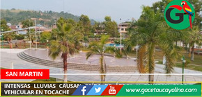 Nuevo Progreso afectado por caída de árbol y corte de energía eléctrica