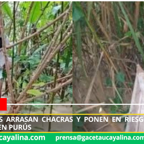 Foto: Orau-oficial