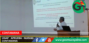 UNAP aprueba nuevas carreras universitarias en filial Contamana