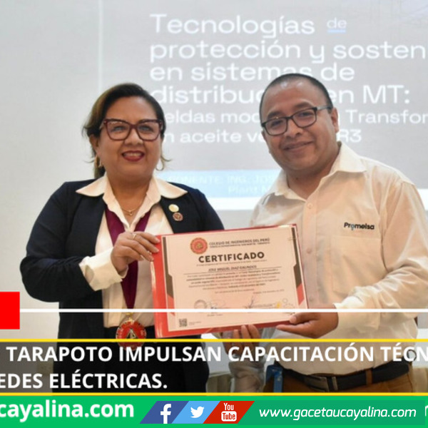 Ingenieros de Tarapoto impulsan capacitación técnica para modernizar redes eléctricas.