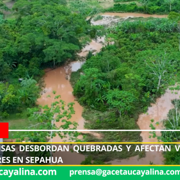 Lluvias intensas desbordan quebradas y afectan viviendas en varios sectores en Sepahua