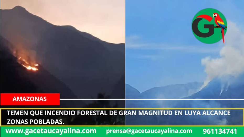 Temen que incendio forestal de gran magnitud en Luya alcance zonas pobladas.