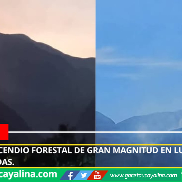 Temen que incendio forestal de gran magnitud en Luya alcance zonas pobladas.