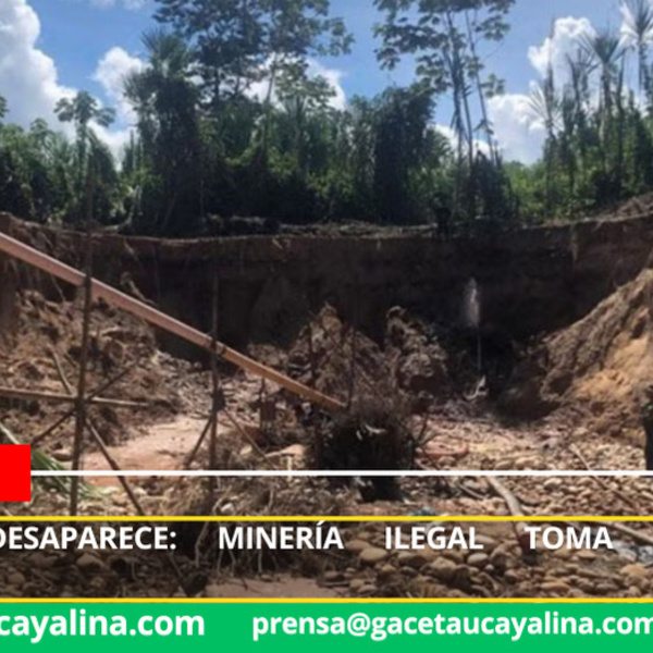 Alarmante deforestación por minería ilegal en dos regiones amazónicas
