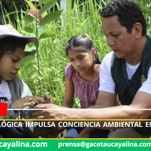 Foto: Semillitas Verdes Perú