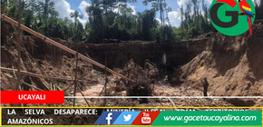 Alarmante deforestación por minería ilegal en dos regiones amazónicas