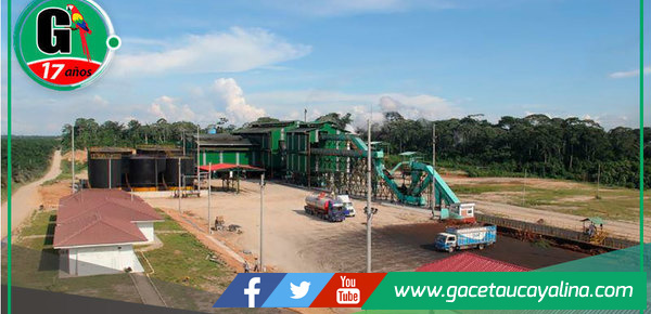 OEFA confirma que palmicultora OCHO SUR cumple con normativas ambientales vigentes 