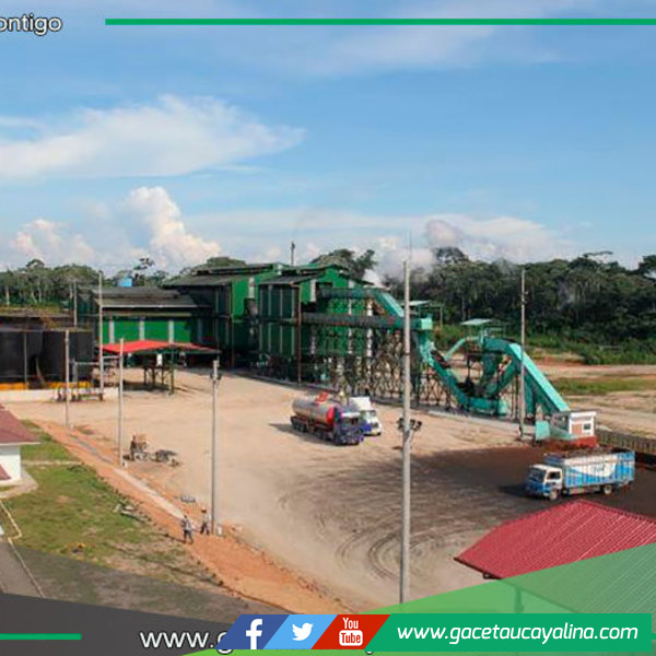 OEFA confirma que palmicultora OCHO SUR cumple con normativas ambientales vigentes 