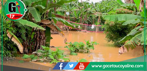 Sede Agraria Sepahua invita a reportar daños por inundaciones