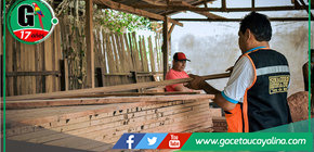 Municipalidad de Ucayali - Contamana entrega madera para puentes provisionales