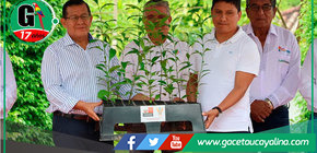 Cocinas ecológicas combaten deforestación en Madre de Dios