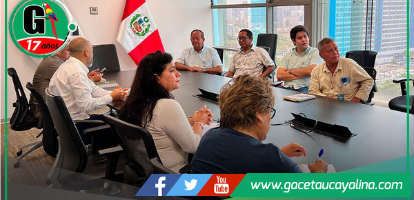 Alcalde de Atalaya propone defensas con bambú