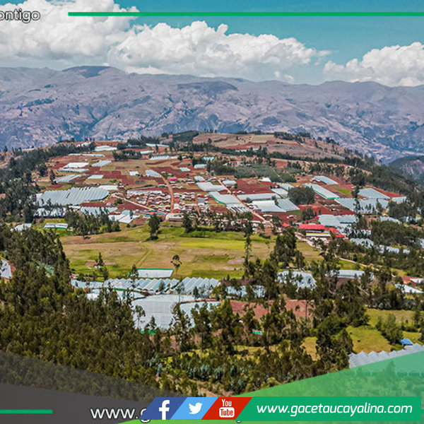 Áncash y Cajamarca inician etapa de formulación de la zonificación forestal