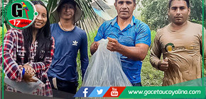 Sepahua siembra alevinos de paco para fortalecer piscicultura