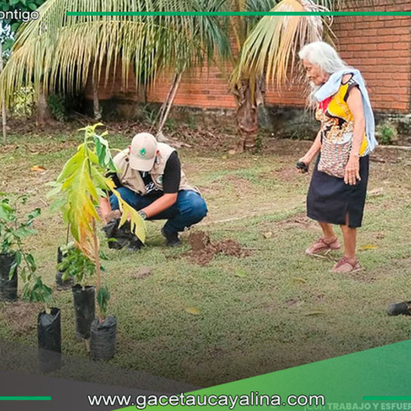 CIAM fomenta vida saludable con siembra de plantas frutales en Atalaya
