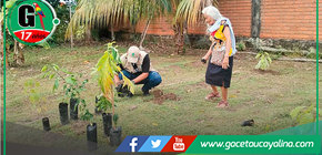 CIAM fomenta vida saludable con siembra de plantas frutales en Atalaya