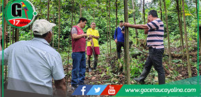 Municipalidad de Ucayali promueve reforestación en parcela de Aguas Calientes