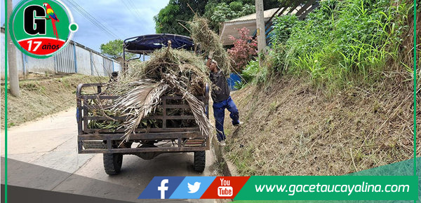 Municipalidad realiza mantenimiento de áreas verdes en Contamana