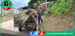 Municipalidad realiza mantenimiento de áreas verdes en Contamana