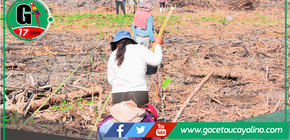 Sepahua: análisis de suelo impulsa agricultura local