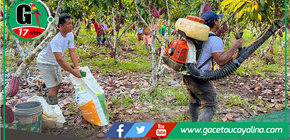 Capacitan en cacao a productores del caserío Valle Hermosa