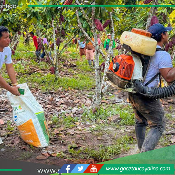 Capacitan en cacao a productores del caserío Valle Hermosa