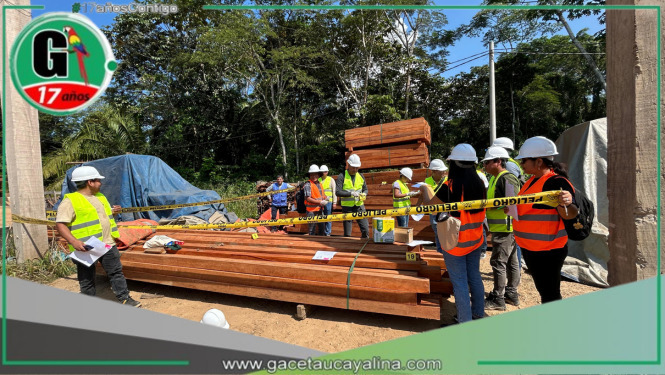 Capacitan a operadores de justicia en Madre de Dios para enfrentar el tráfico ilegal de madera