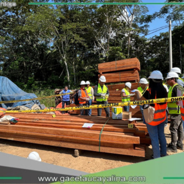 Capacitan a operadores de justicia en Madre de Dios para enfrentar el tráfico ilegal de madera