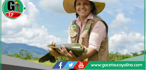 GOREHCO impulsa acuicultura sostenible con más de S/ 4.3 millones en cinco provincias