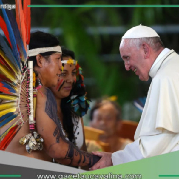 “Bosque Papa Francisco”: herencia viva del pontífice en Madre de Dios