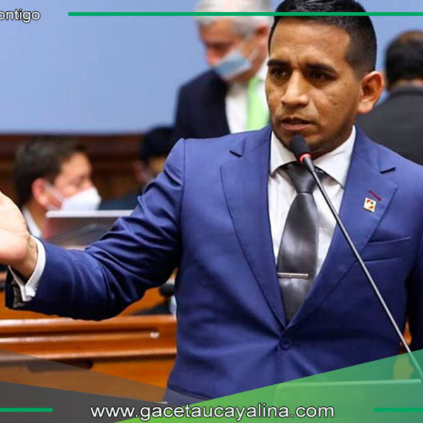 Acción Popular busca eliminar sucesión hereditaria en el Reinfo