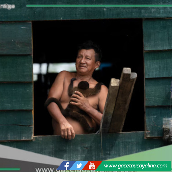 Perú acoge histórico Encuentro de Archivos Fílmicos Amazónicos