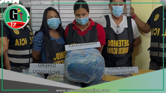 PNP incauta más de 42 kilos de marihuana y captura a presuntos integrantes
