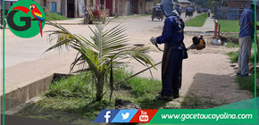 Municipalidad de Ucayali recupera áreas verdes en Contamana