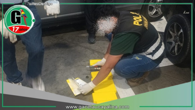 Fiscalía antidrogas incauta más de 12 kilos de cocaína
