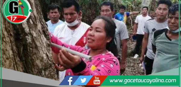 Productores y pueblos indígenas protegen 70,000 hectáreas de bosques en Huánuco y Ucayali