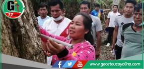 Productores y pueblos indígenas protegen 70,000 hectáreas de bosques en Huánuco y Ucayali