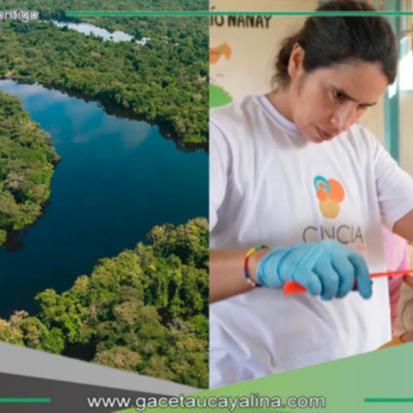 Alarmante contaminación por mercurio afecta a comunidades cercanas a minería ilegal en Loreto