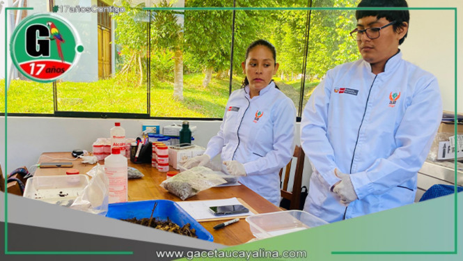 IIAP impulsa ciencia amazónica desde Madre de Dios con alianzas clave, laboratorios renovados y proyectos sostenibles