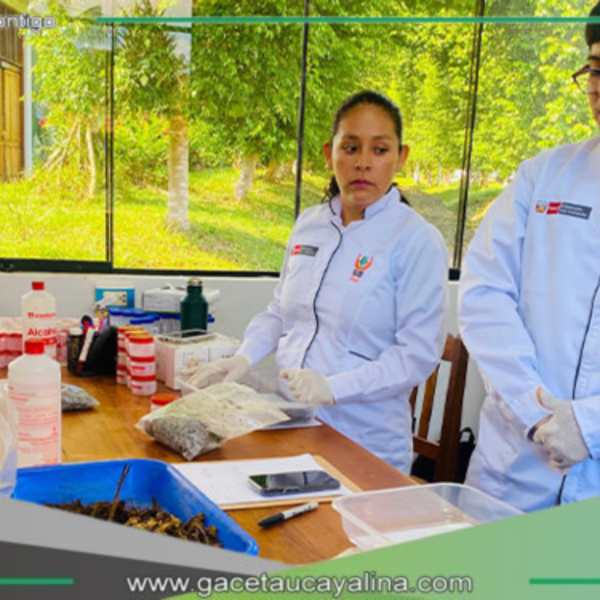 IIAP impulsa ciencia amazónica desde Madre de Dios con alianzas clave, laboratorios renovados y proyectos sostenibles