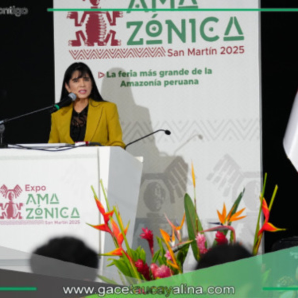 Exportaciones amazónicas superan los US$ 427 millones en el primer cuatrimestre del 2025
