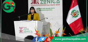 Exportaciones amazónicas superan los US$ 427 millones en el primer cuatrimestre del 2025