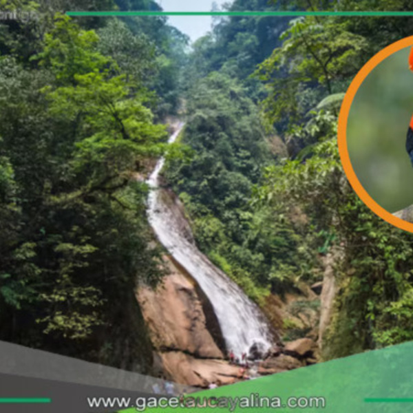 Ucayali estrena el Área de Conservación Regional “Velo de la Novia” con más de 14 mil hectáreas de biodiversidad
