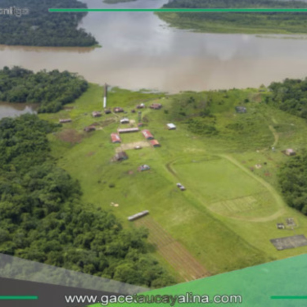 Perú ha perdido más de 3 millones de hectáreas de bosque amazónico en dos décadas
