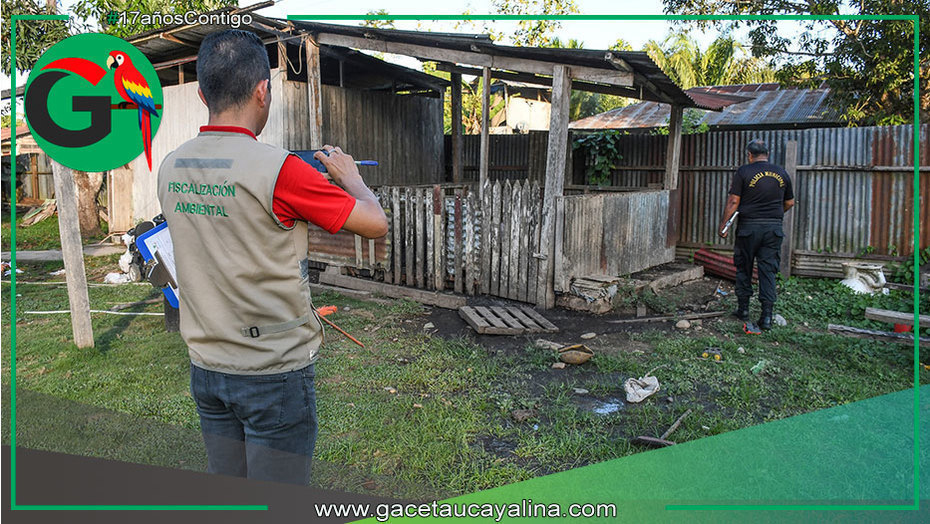 Municipio inspecciona corrales y exige traslado en tres meses en Sepahua