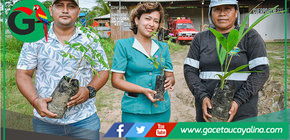 Municipalidad entrega plantas ornamentales a escuelas y universidad local